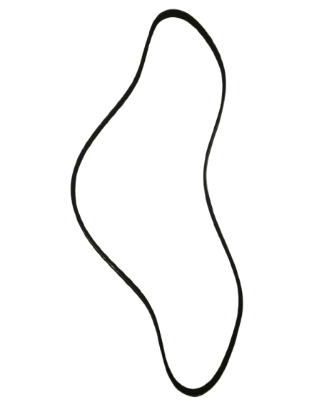 Correa 1173 5PJ