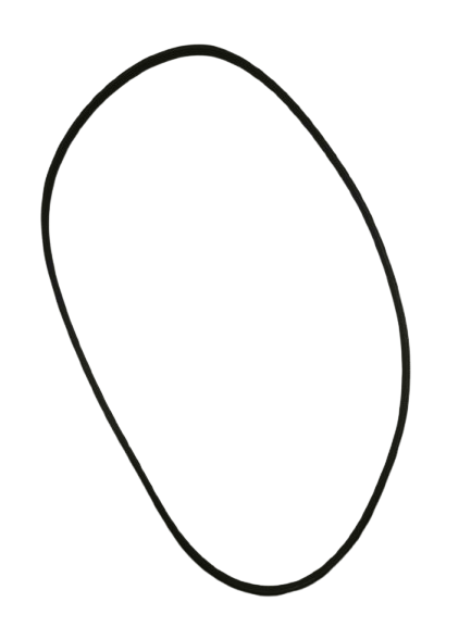 Correa 1133 EPJ