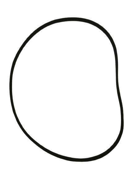 Correa 1195 PHE