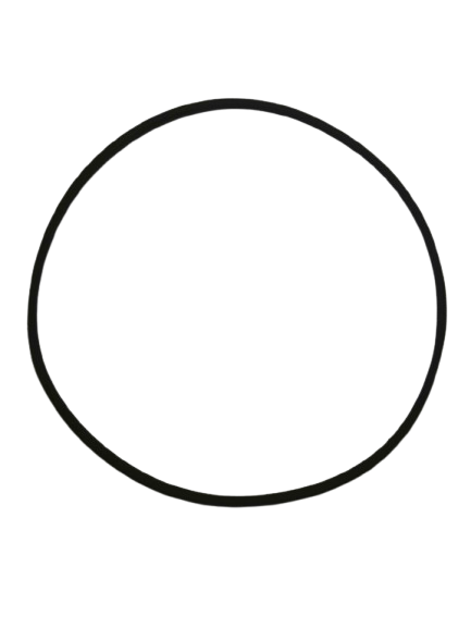 Correa 497 3L - 1262mm