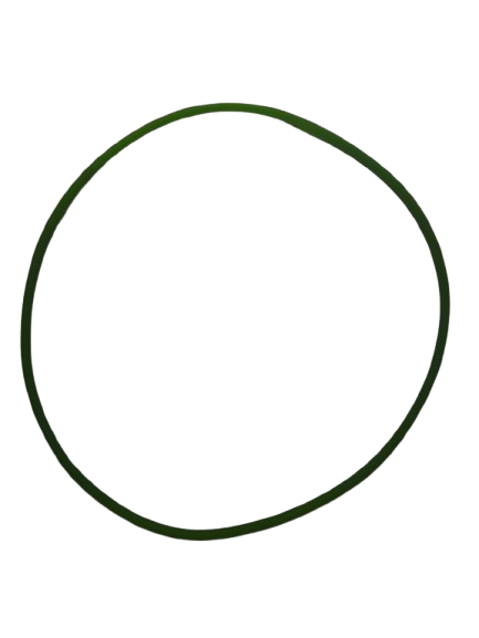Correa verde chica para secarropas - Xion 2.5kg