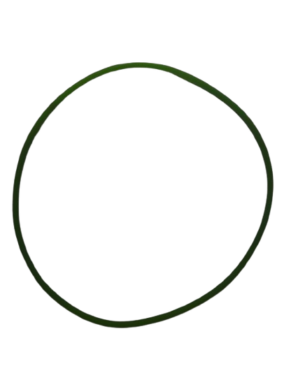Correa verde chica para secarropas - Xion 2.5kg